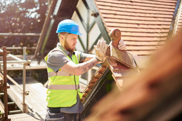 Best Storm Damage Roof Repair  in Louisville, TN